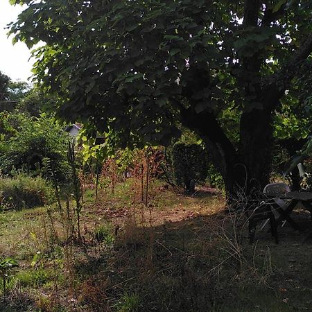 Villa Lulu Mérignac Extérieur photo