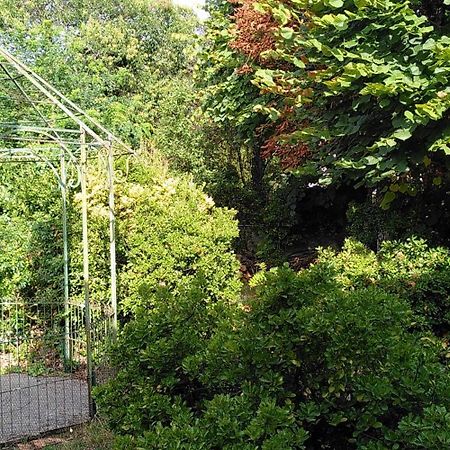 Villa Lulu Mérignac Extérieur photo