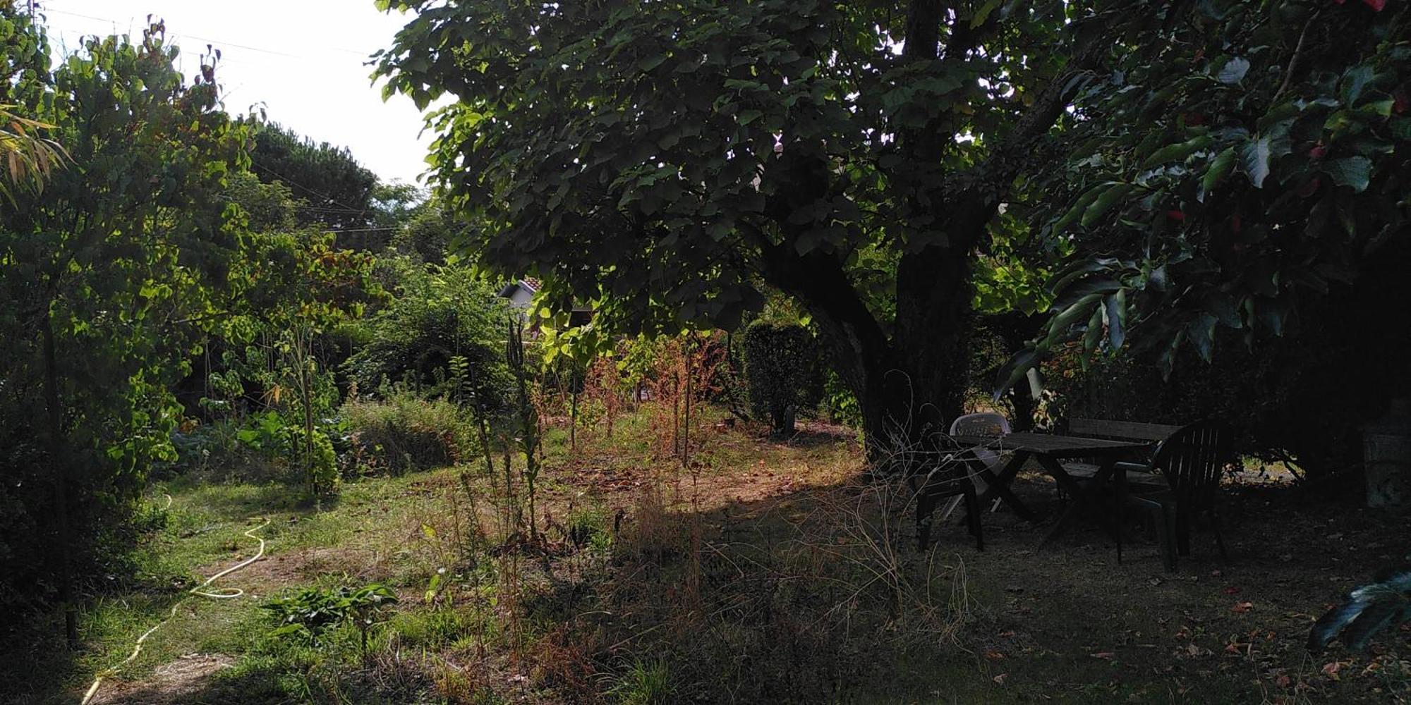 Villa Lulu Mérignac Extérieur photo